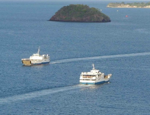 Solidarité avec les habitants de Mayotte